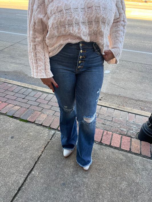 Judy Blue Alicia Distressed Flares