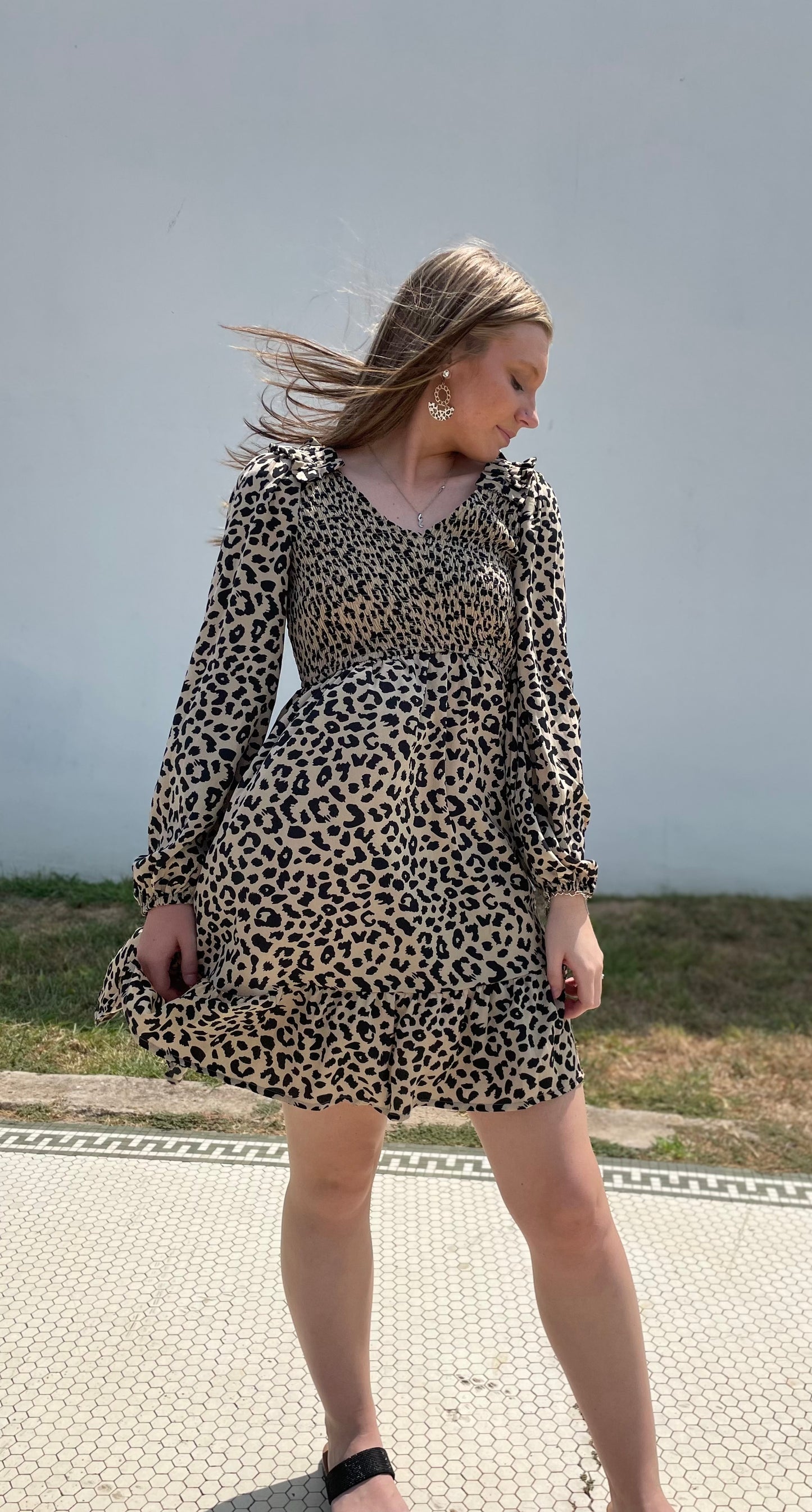 Ashley Leopard Smocked Long Sleeve Dress
