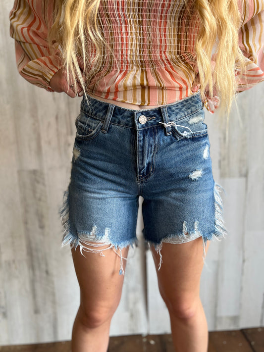 Vervet Distressed Shorts in Blue